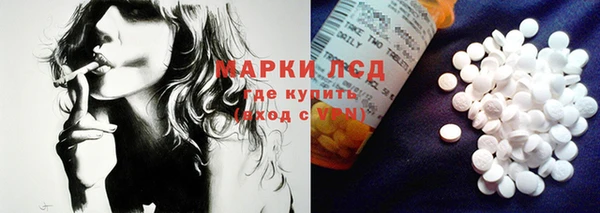 эйфоретик Богданович