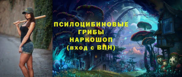 эйфоретик Богданович