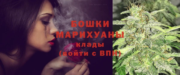 эйфоретик Богданович