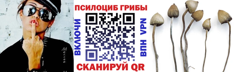 гидра ссылки  Клинцы  Псилоцибиновые грибы GOLDEN TEACHER 
